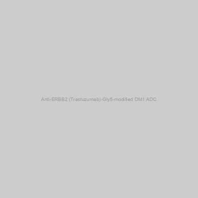 Anti-ERBB2 (Trastuzumab)-Gly5-modified DM1 ADC